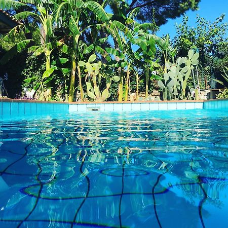 Oasi Del Gabbiano Bed & Breakfast Syracuse Bagian luar foto