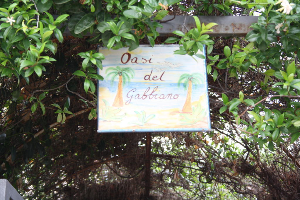 Oasi Del Gabbiano Bed & Breakfast Syracuse Bagian luar foto