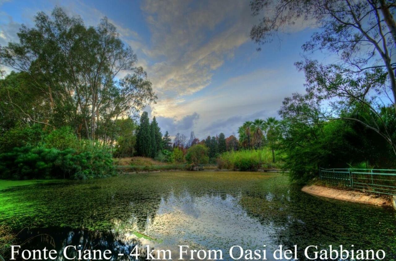 Oasi Del Gabbiano Bed & Breakfast Syracuse Bagian luar foto